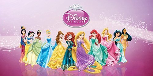 Disney Princess Melamine Bowl Featuring Cinderella Snow White Jasmine and Tiana. Rapunzel